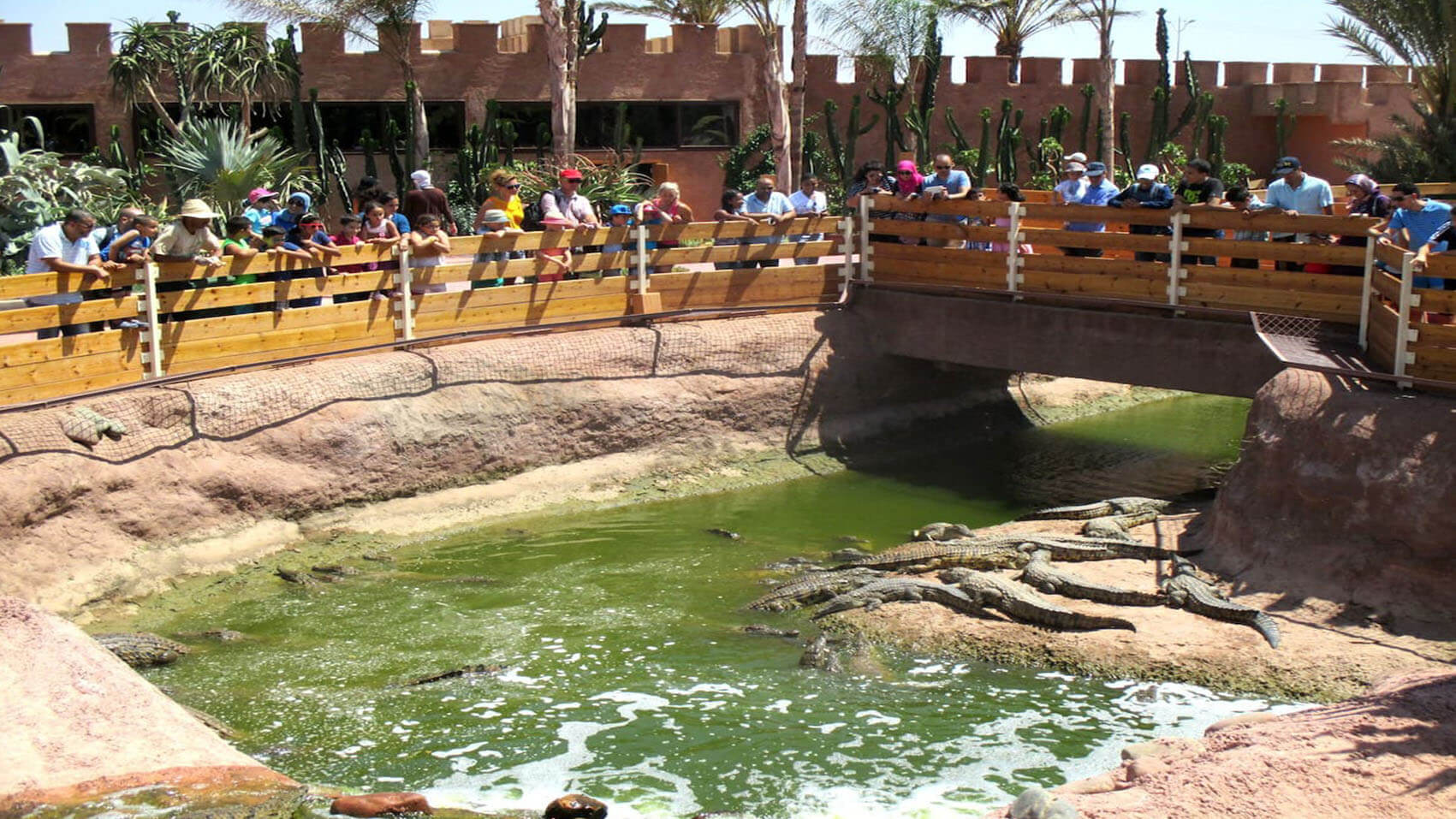 Visite de Crocoparc